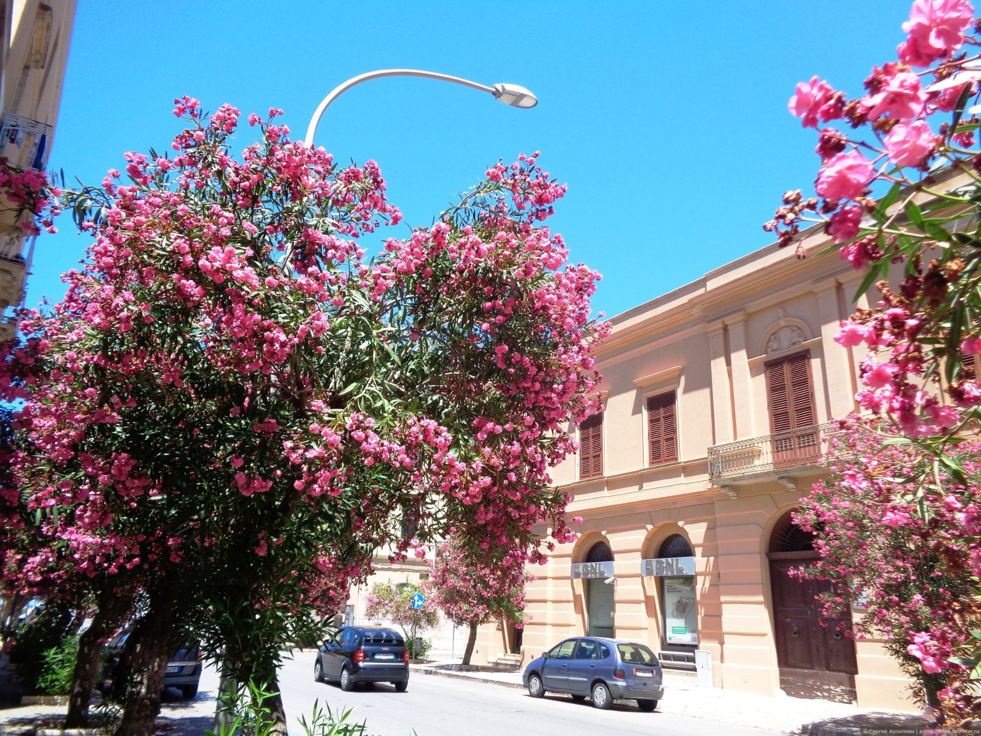 Trapani